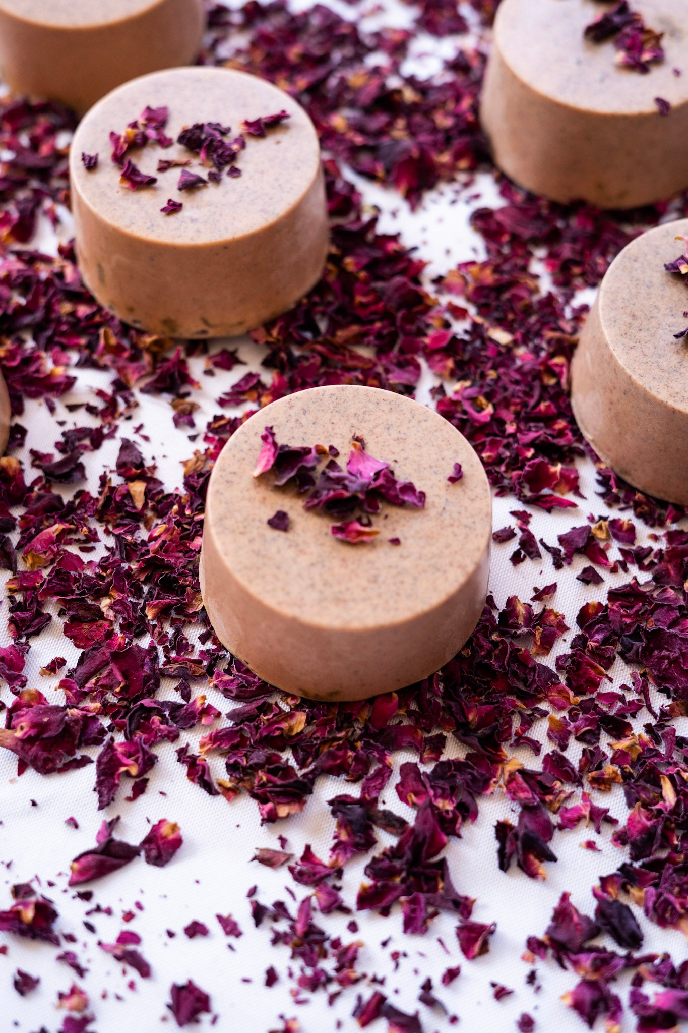 Beauty for Ashes Shampoo Bars