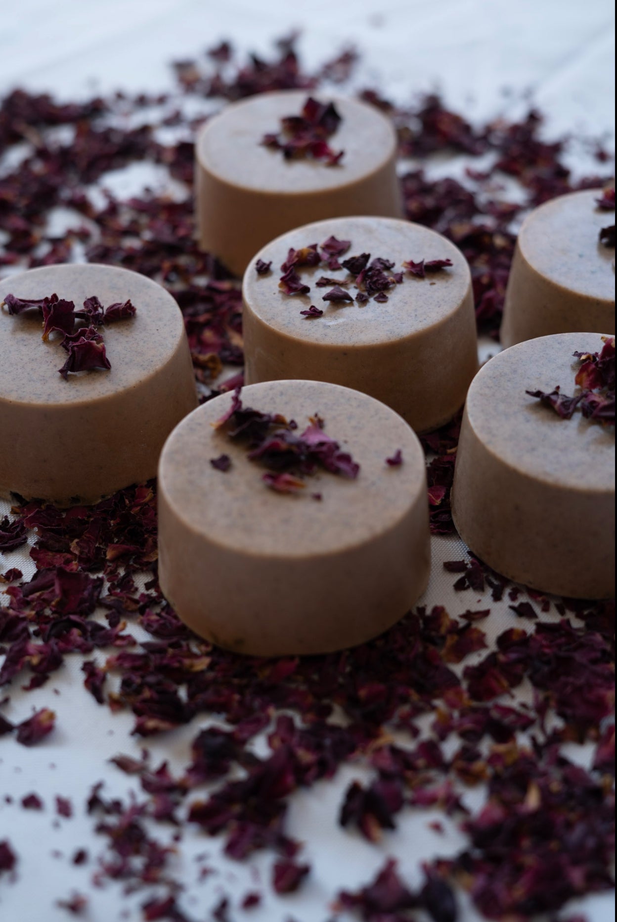 Beauty for Ashes Shampoo Bars