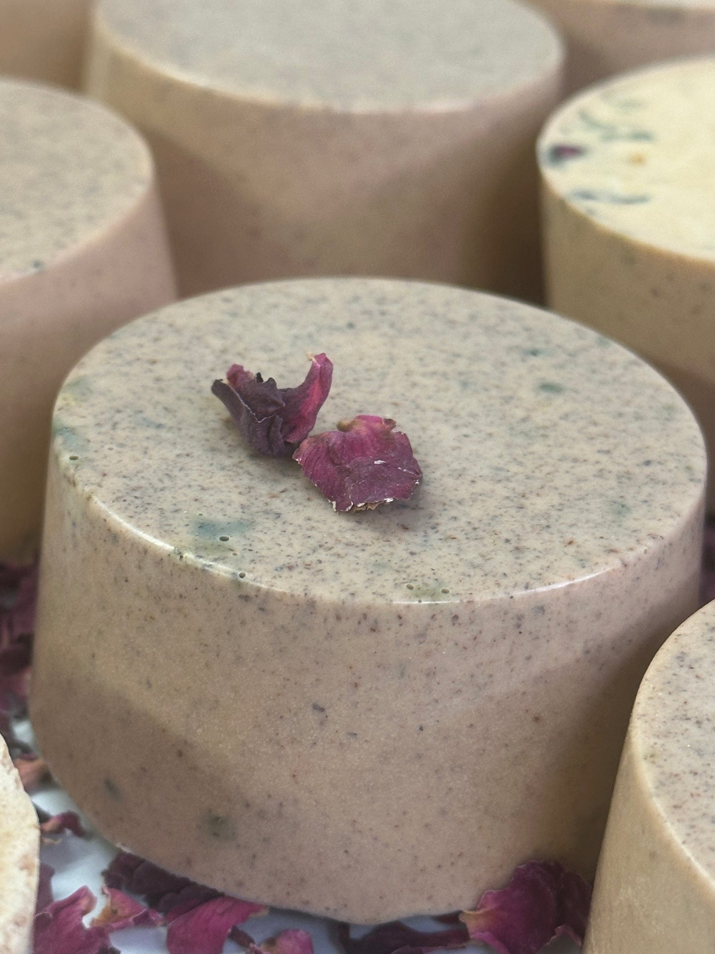 Beauty for Ashes Shampoo Bars