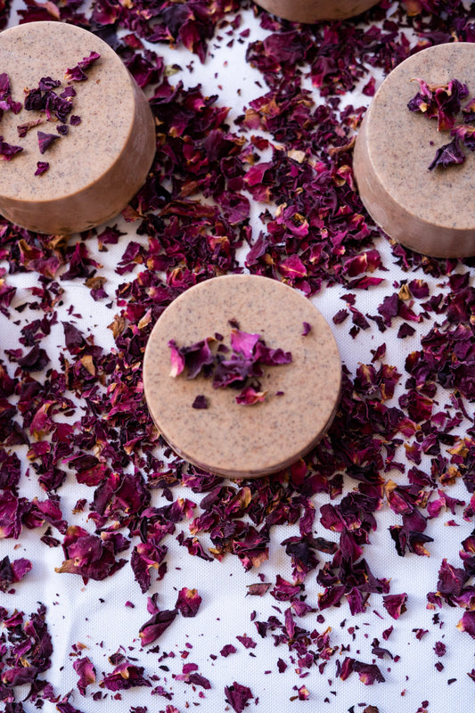 Beauty for Ashes Shampoo Bars