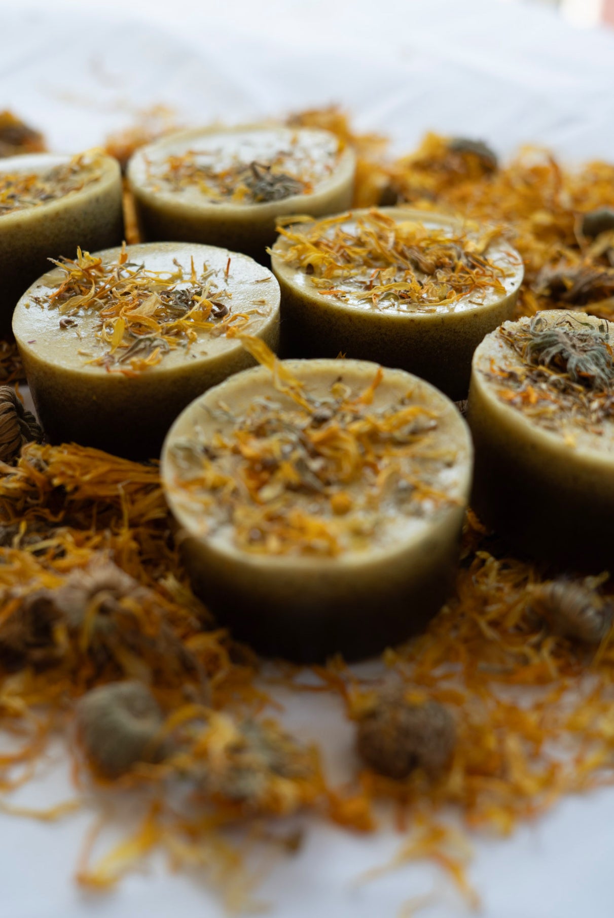 Holy Forever Shampoo Bar