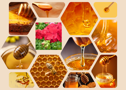 Holy Forever Perfume Oil | Sweet Honey & Geranium