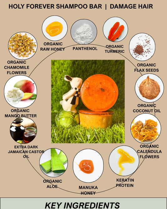 Holy Forever Shampoo Bar (Severely Damaged Hair) (All Hair Types)